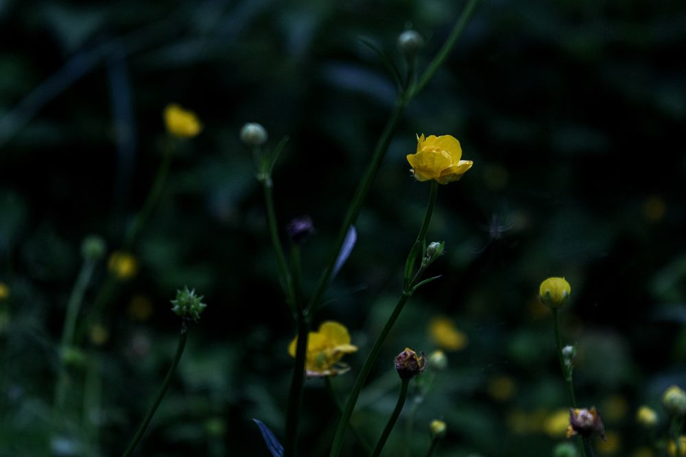 Photograph by Кристина Полякова