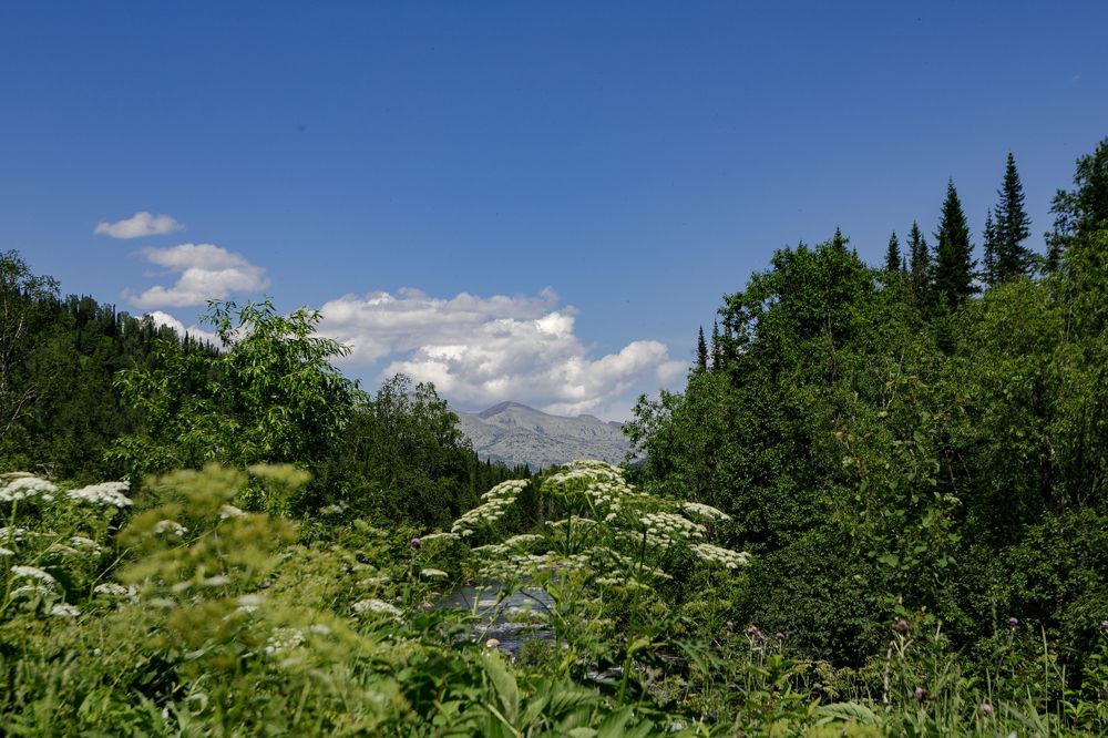 Photograph by Марина