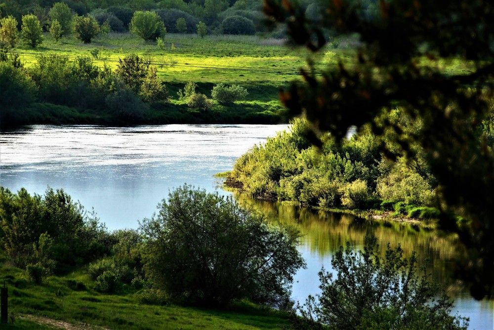 Photograph by Виктория Спицына