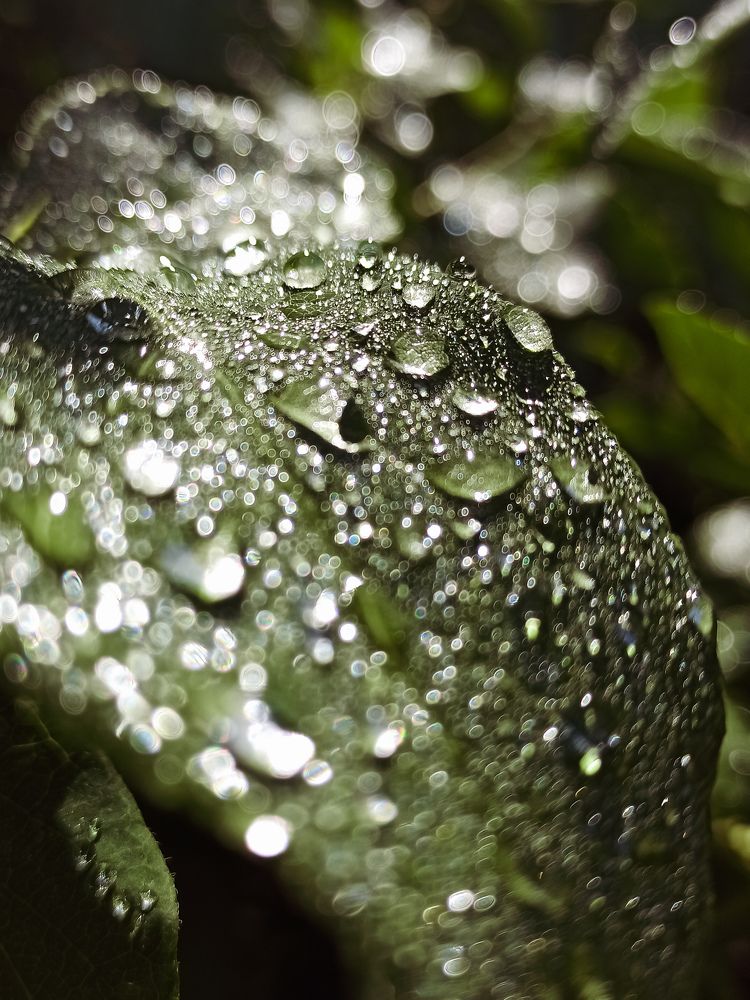 Photograph by Елена Подшевалова