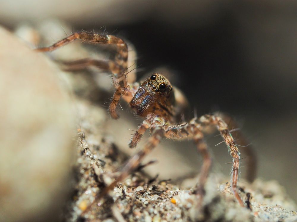 Photograph by Ирина Протченко