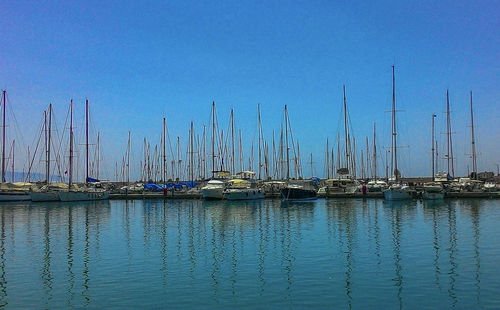Photo #8038192
