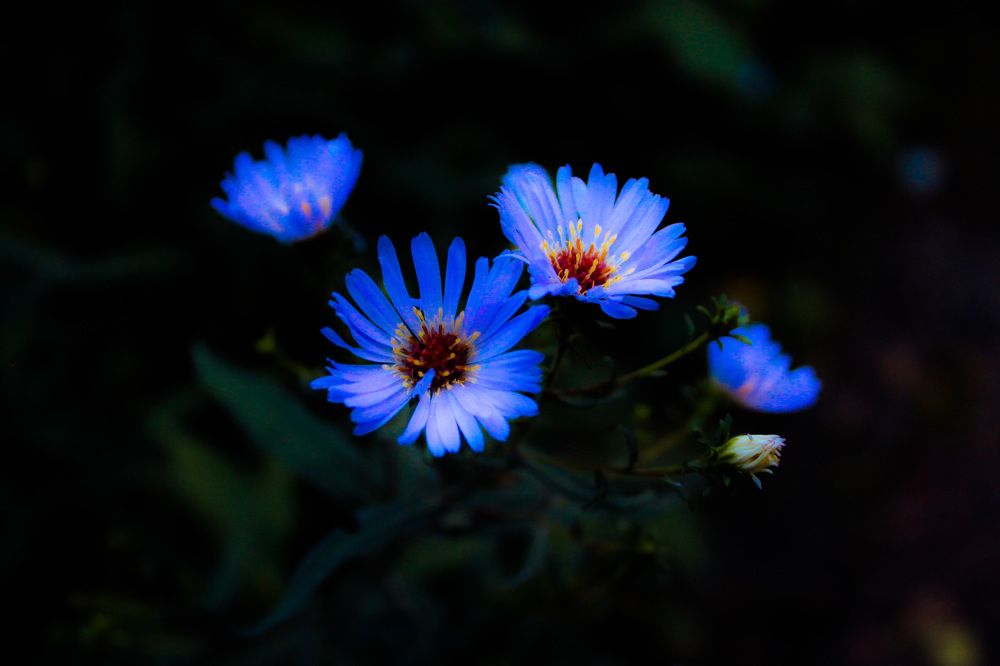 Photograph by Матвей Короткин