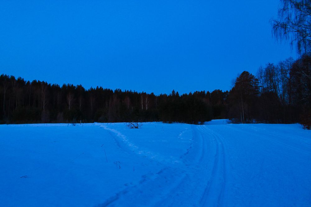 Photograph by Матвей Короткин