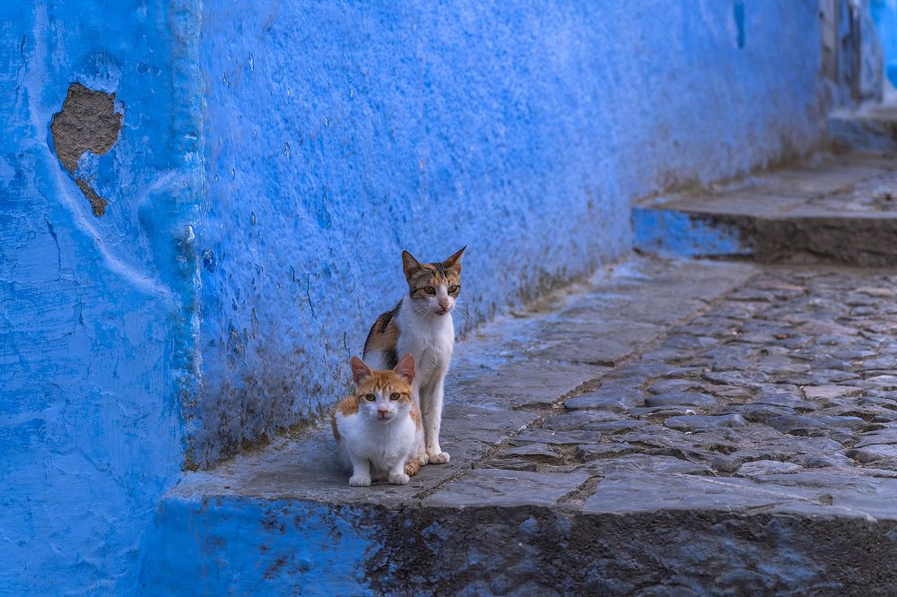 Фотография автора Александър Александров