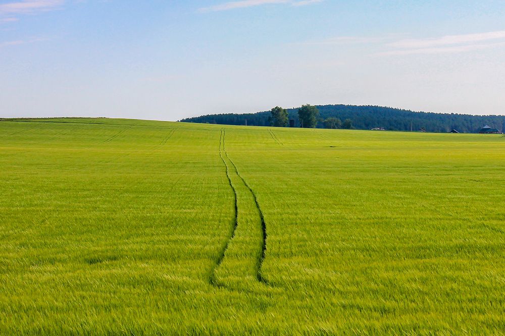 Photograph by Ильдар Гарифуллин