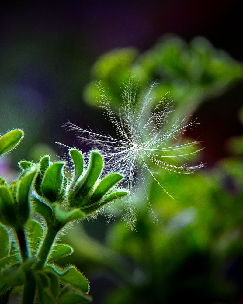 Photograph by Ильдар Гарифуллин