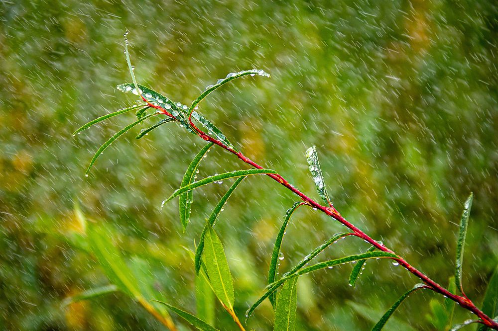 Photograph by Ильдар Гарифуллин