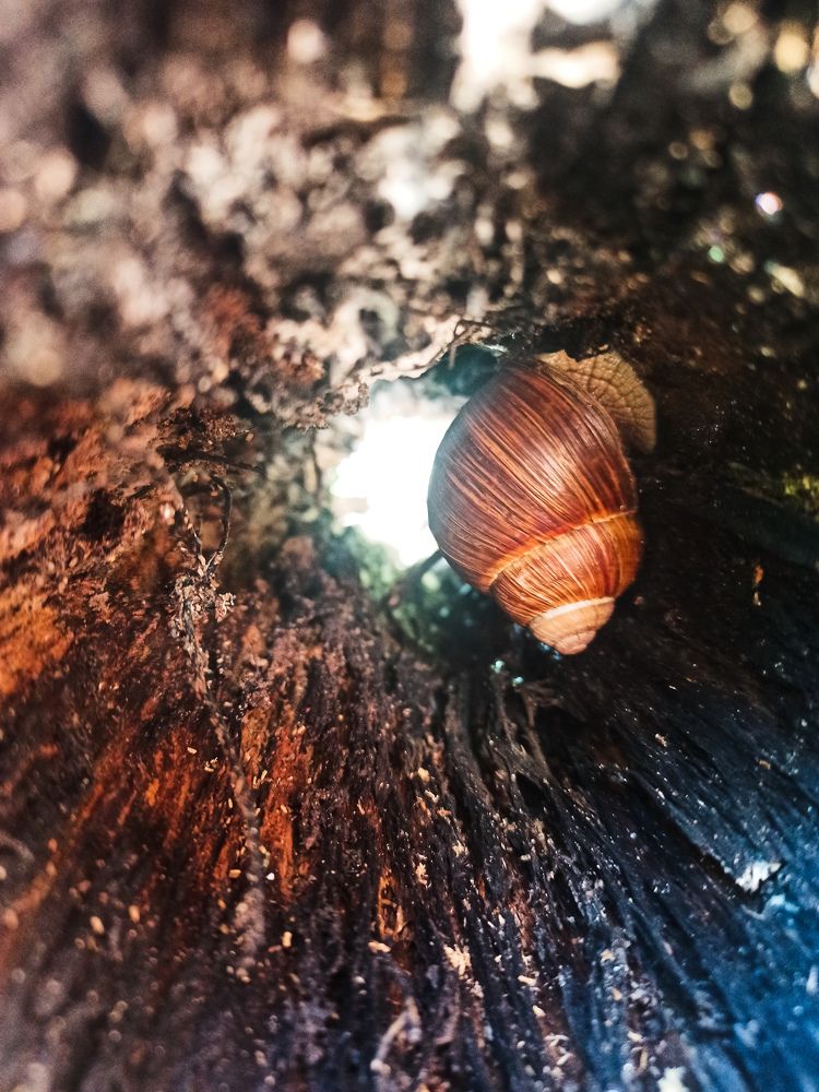 Photograph by Елена Подшевалова