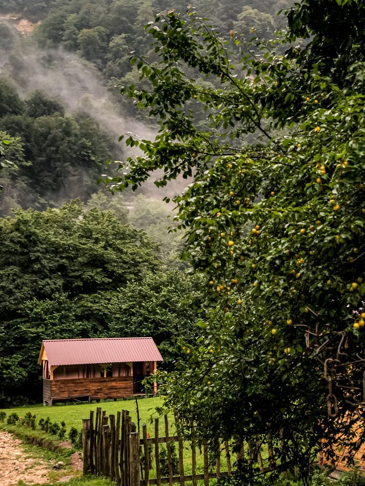 Photograph by Людмила Евстратова