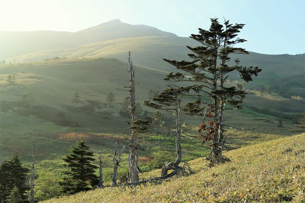 Photograph by Максимушкина Ольга