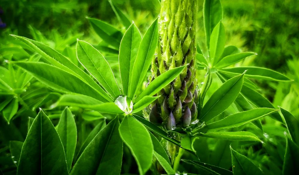 Photograph by Валерий Савостьянов