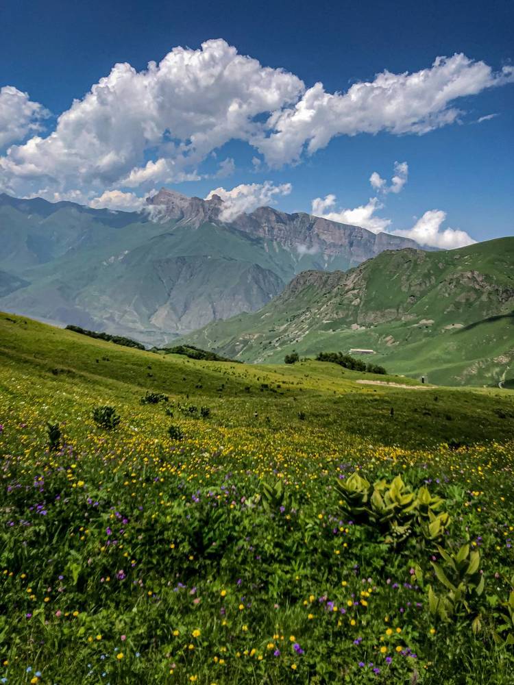 Photograph by Людмила Евстратова