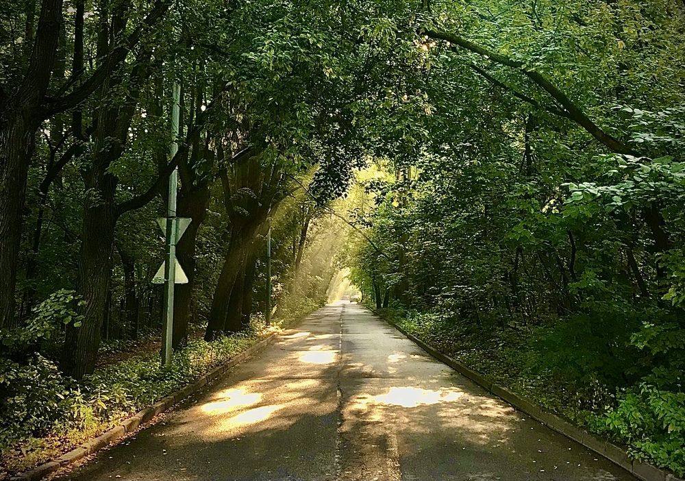 Photograph by Михаил Некрасов