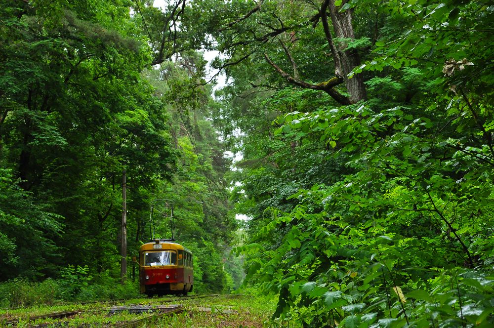 Photograph by Мария Кобыльченко