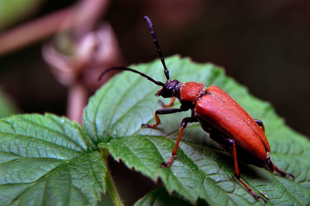 Photograph by Игорь Овсиенко