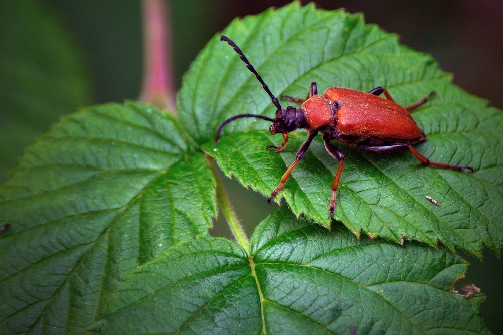 Photograph by Игорь Овсиенко