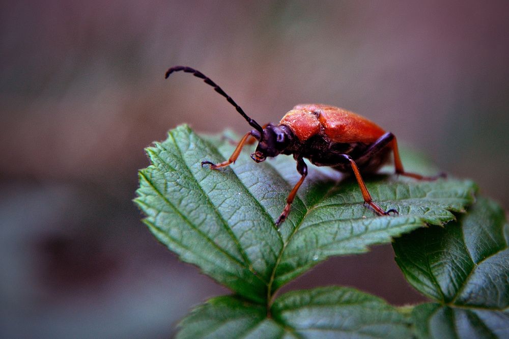Photograph by Игорь Овсиенко