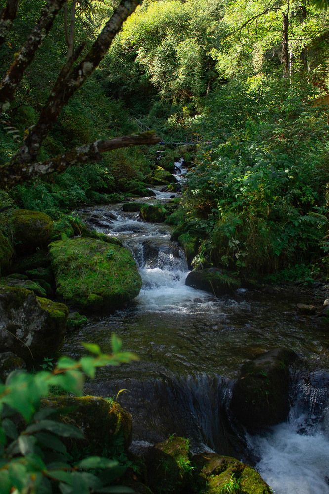 Photograph by Софья