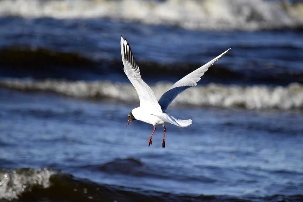 Photograph by Инна Сенкевич