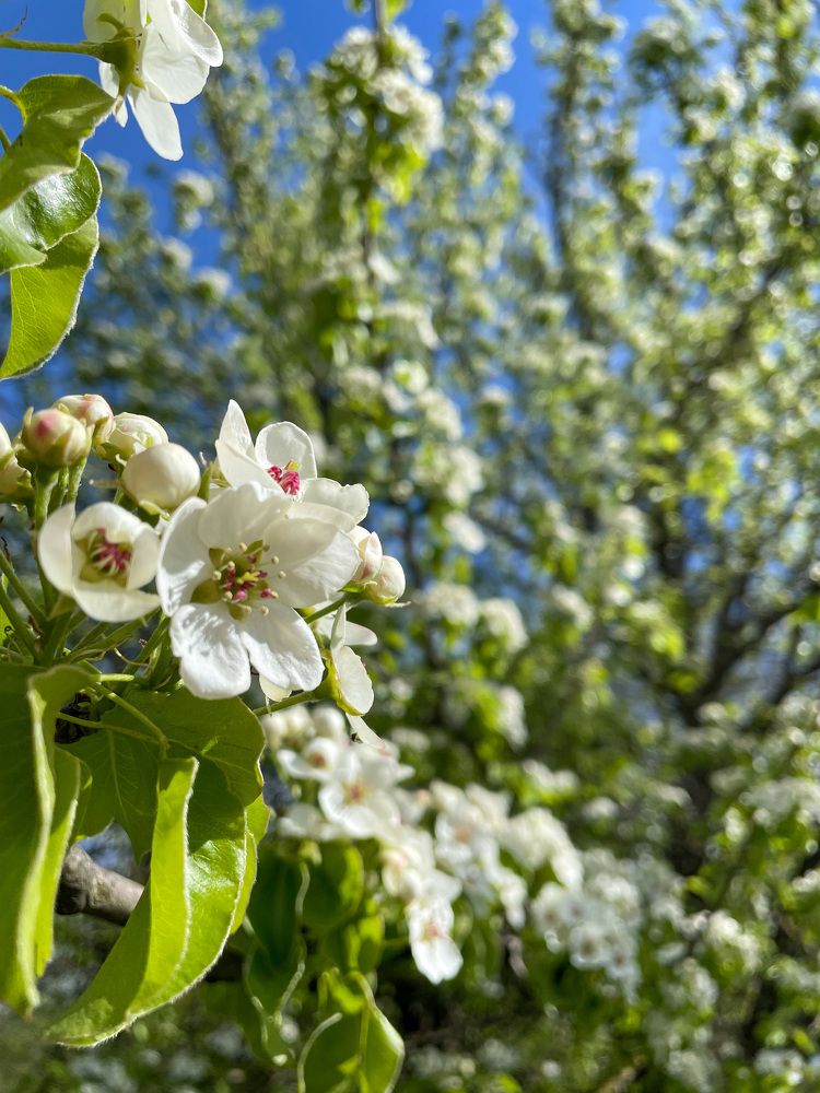 Photograph by Лия Маликова