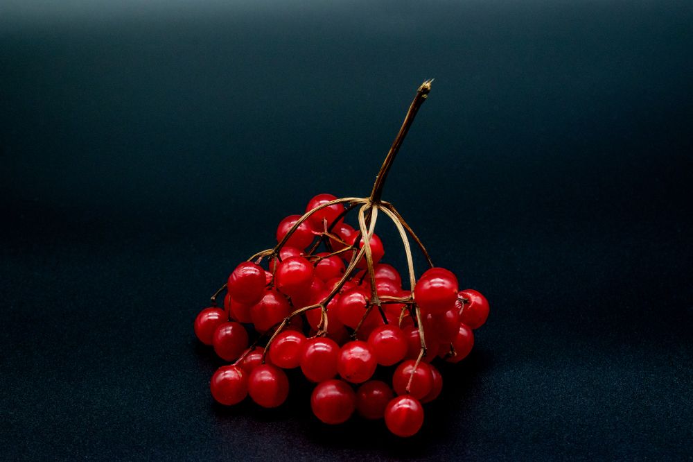 Photograph by Александр Козин