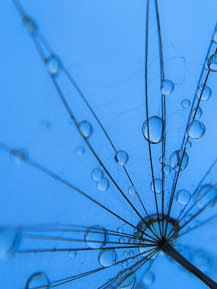 Фотография автора Наталья Алексеева