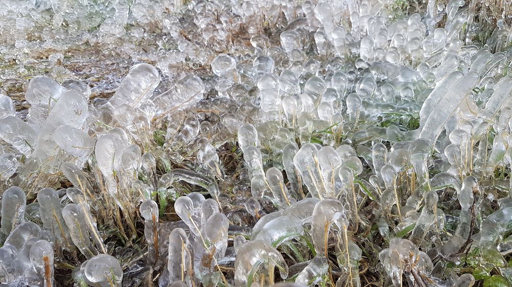 Photograph by Руслан Лесков