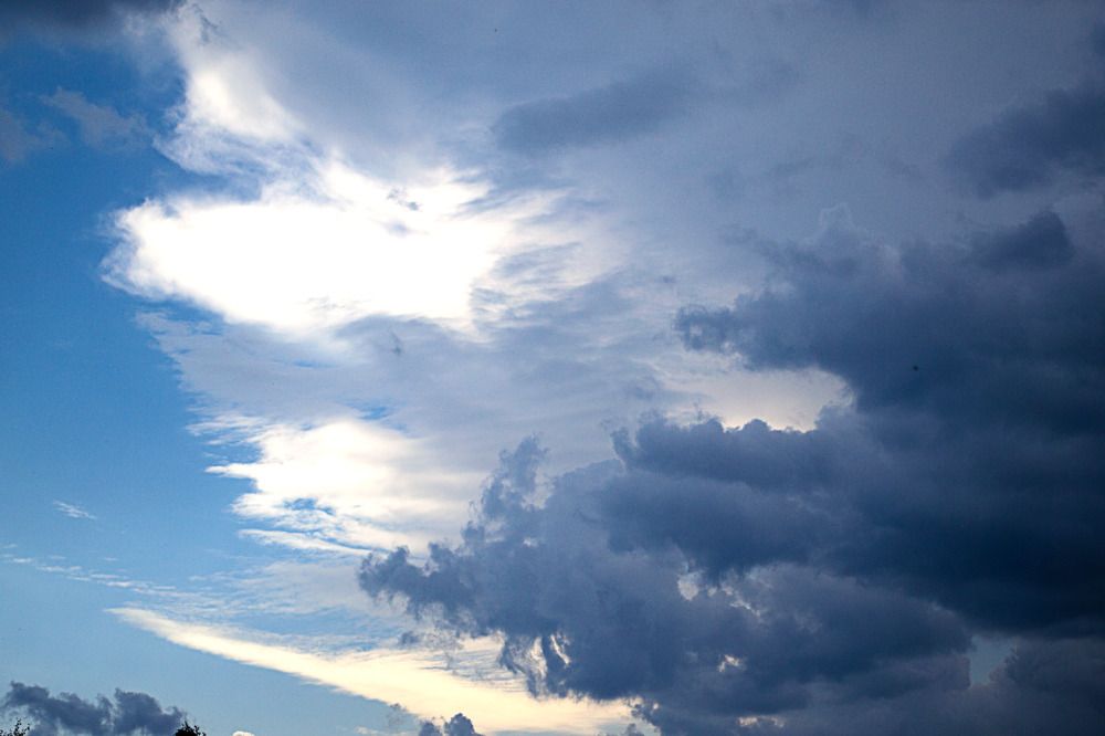 Photograph by Olga Smirnova