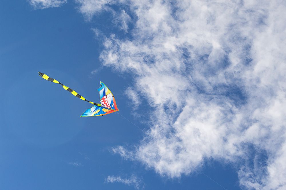 Photograph by Olga Smirnova