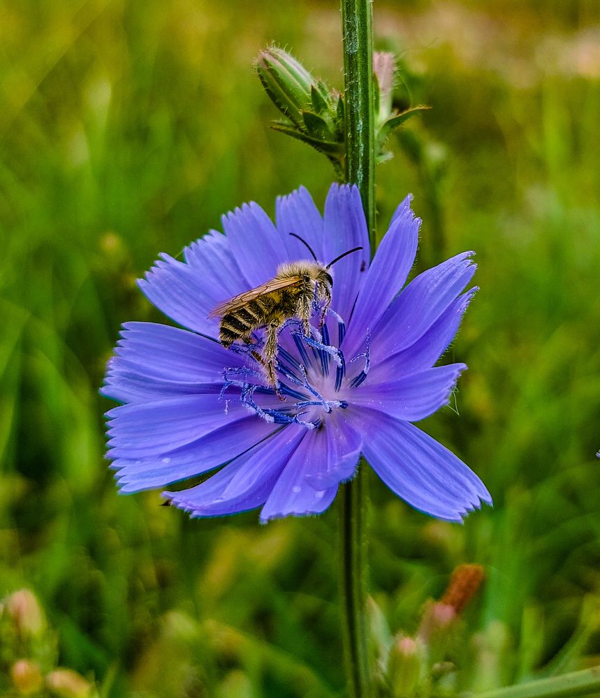 Photograph by Елена Жеребцова