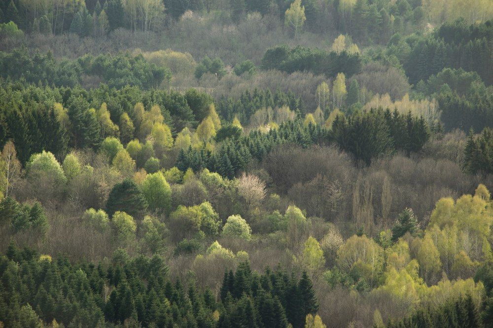 Photograph by Алексей Родионов