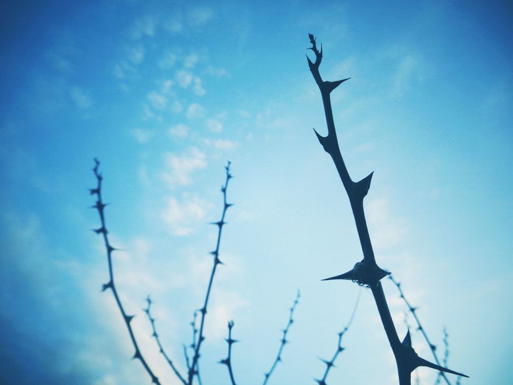 Photograph by Екатерина Щербина