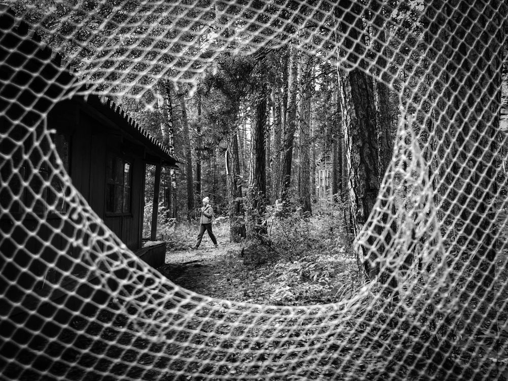 Photograph by Димитрий Осинцев