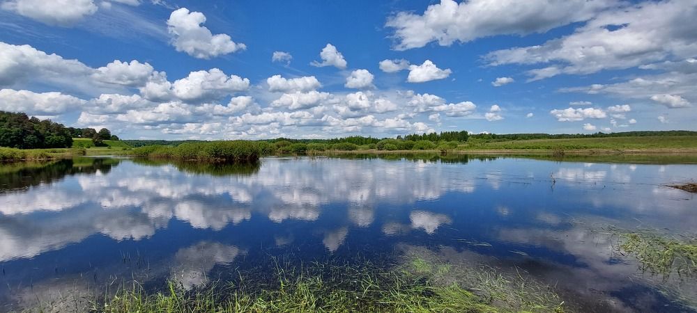 Photograph by Наталия Степовая