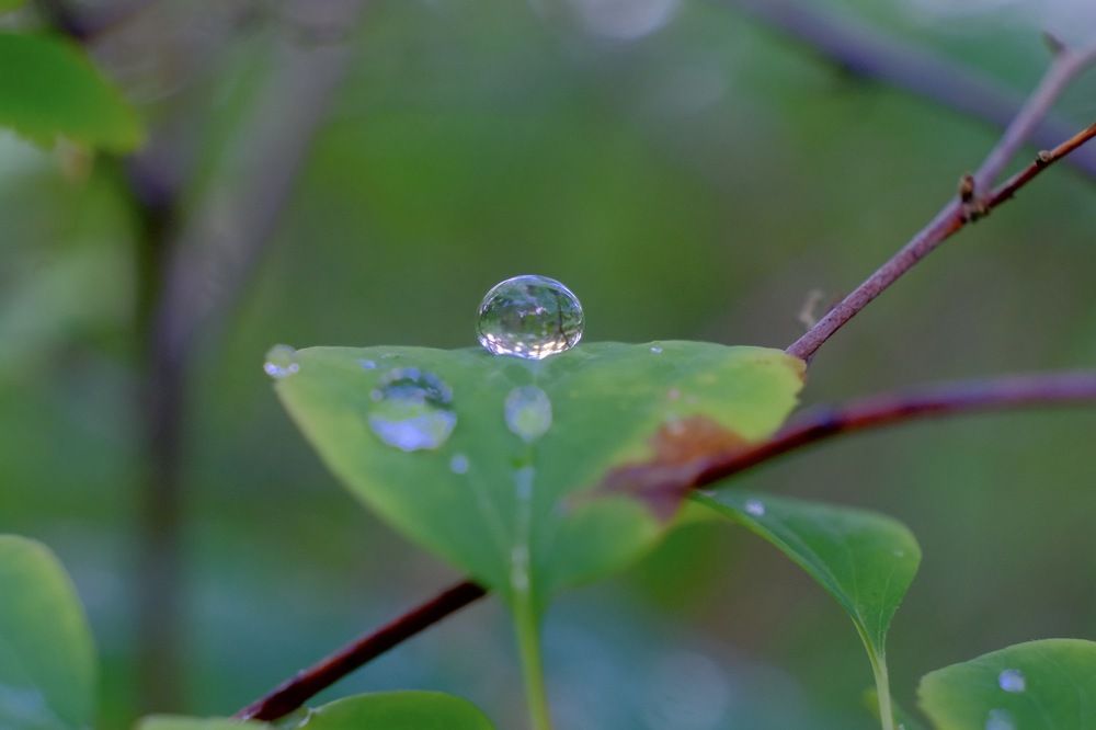 Photograph by Марина Душевина