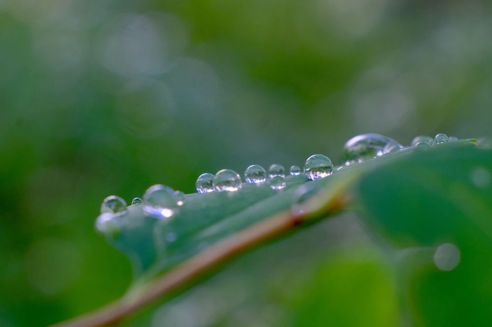 Photograph by Марина Душевина