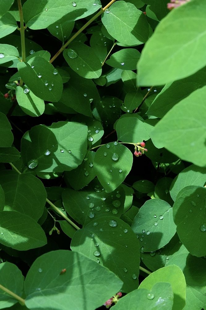 Photograph by Марина Душевина