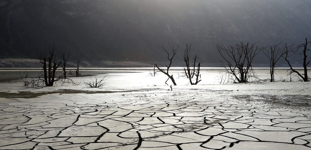 Photograph by Максимушкина Ольга