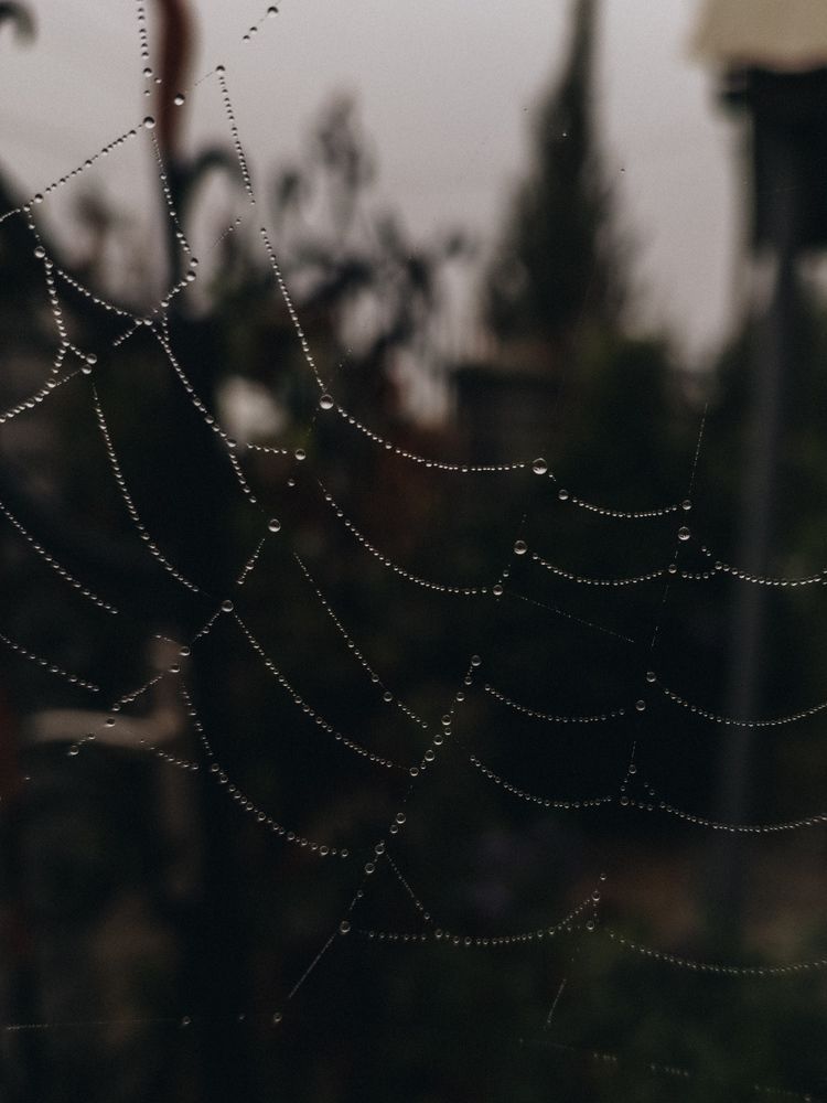 Photograph by Ира Талапчук