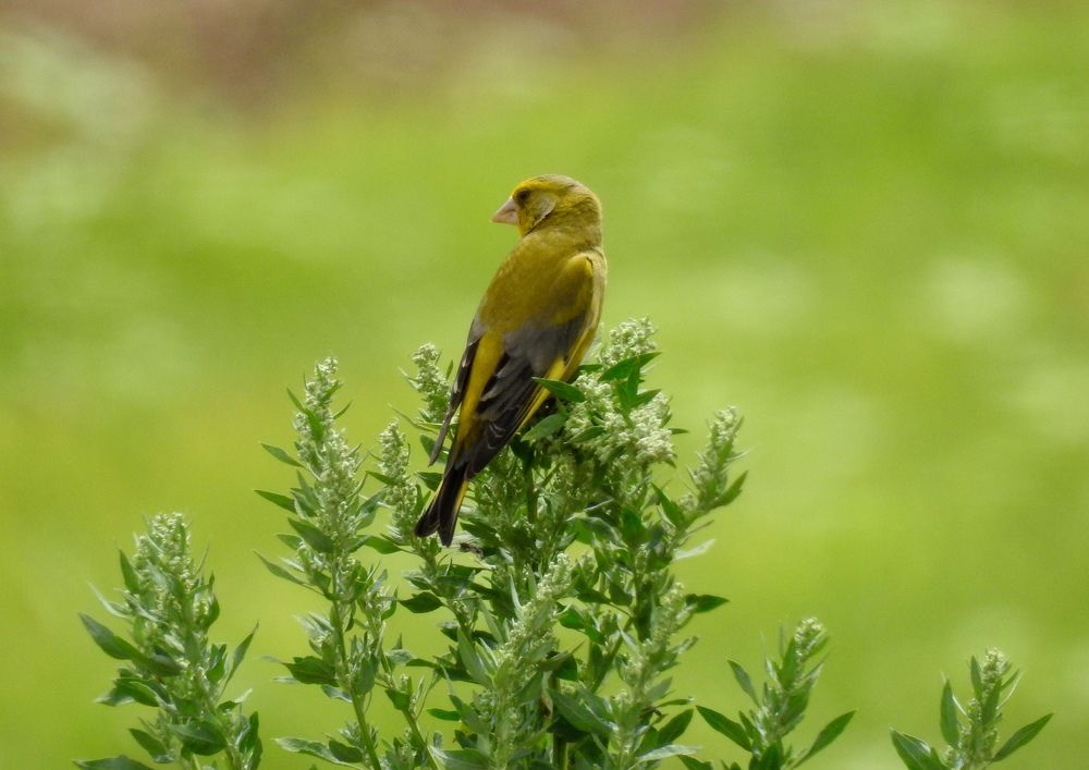 Photograph by Татьяна Калугина