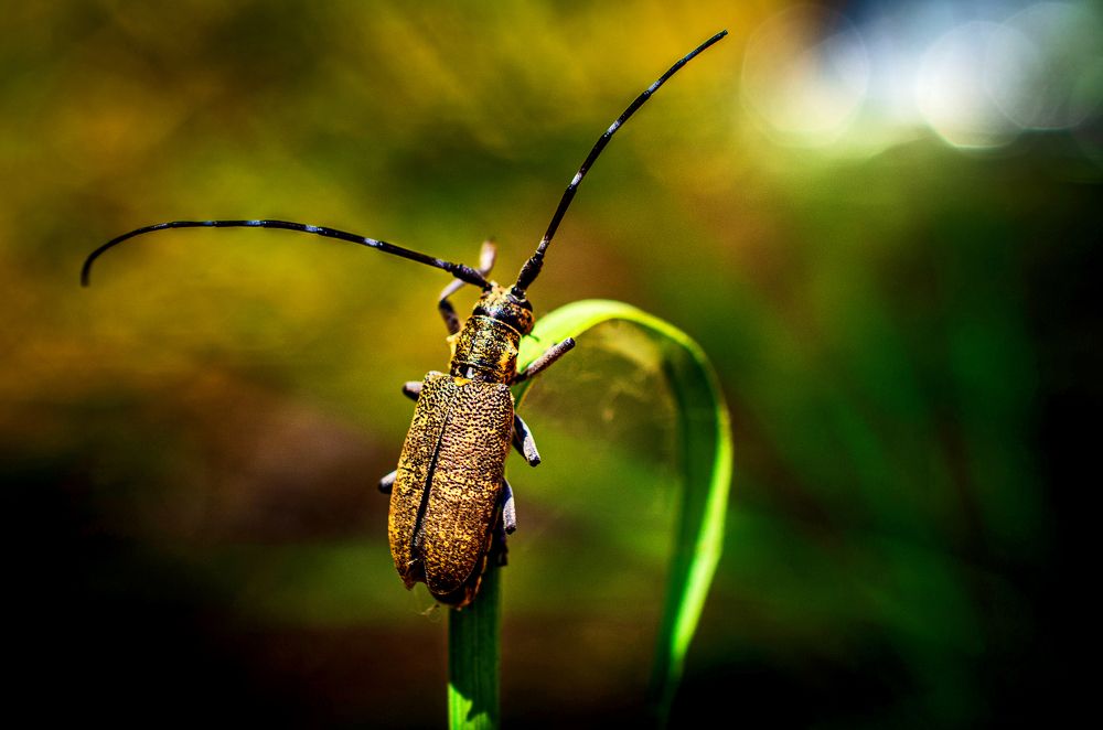 Photograph by Евгений Каримов