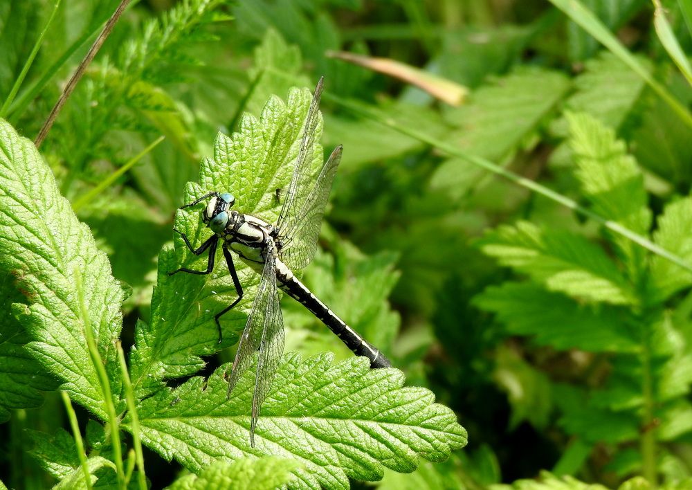 Photograph by Татьяна Калугина