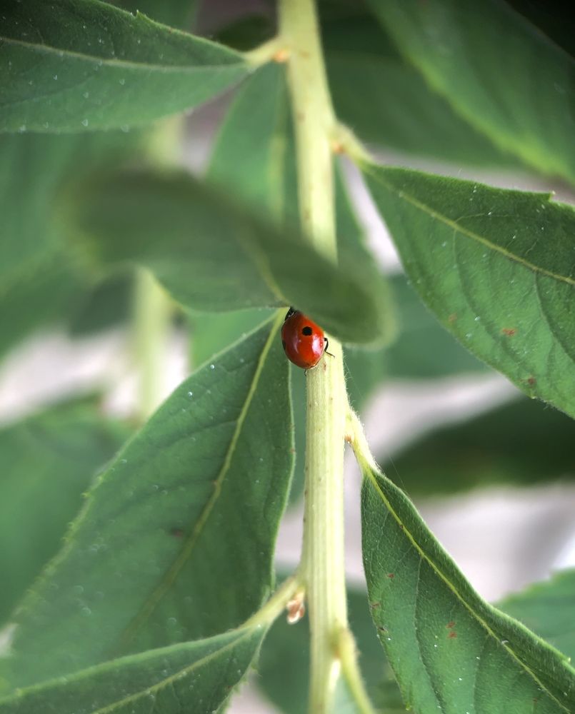 Photograph by Марина Душевина