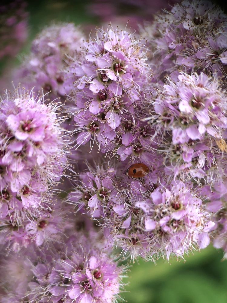 Photograph by Марина Душевина