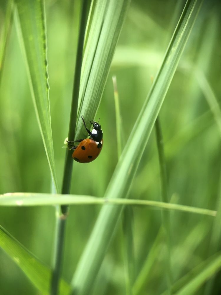 Photograph by Марина Душевина