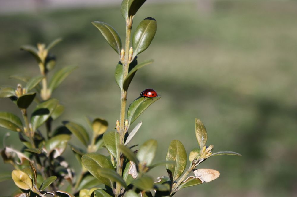 Photograph by Нелли Золотая