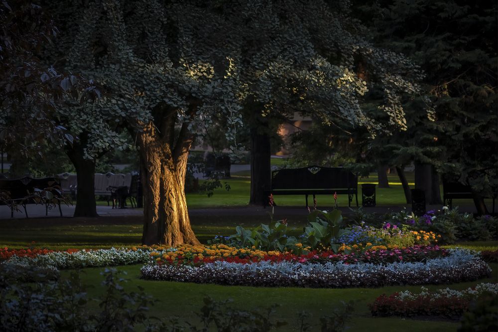 Луч солнца золотой.