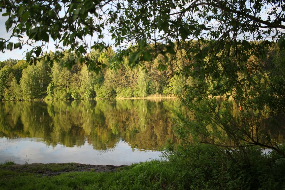 Photograph by Татьяна Даниленко