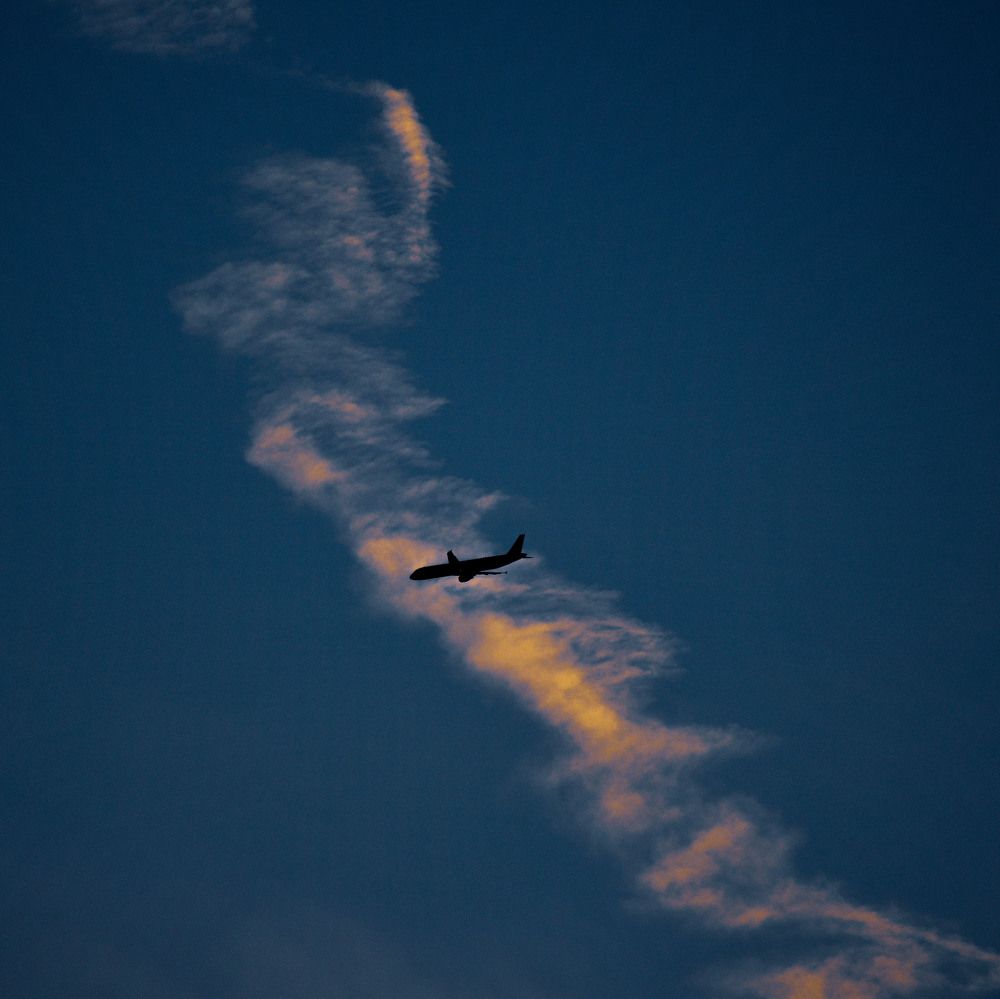 Photograph by Bhanupriya Marke